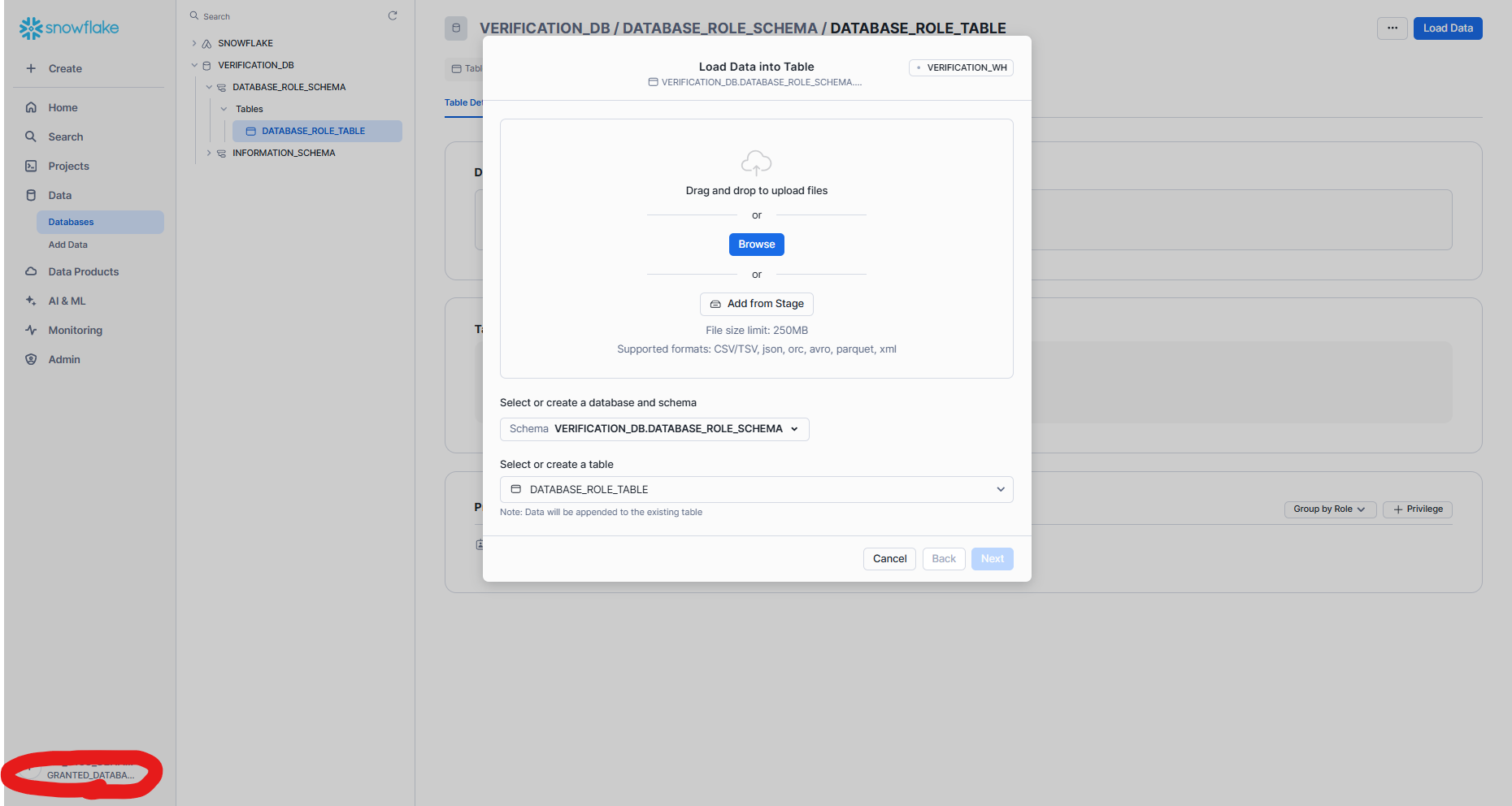 database_role_re_reslut