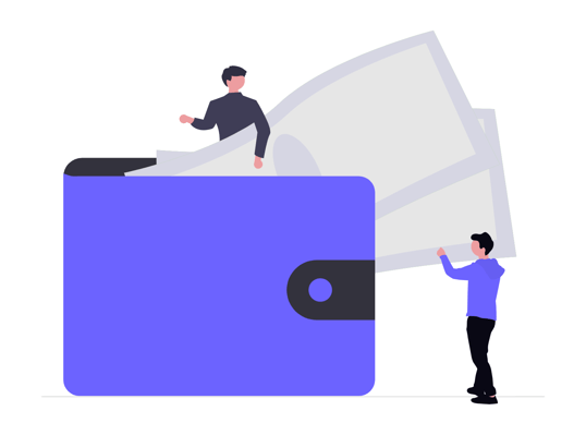 undraw_wallet_diag